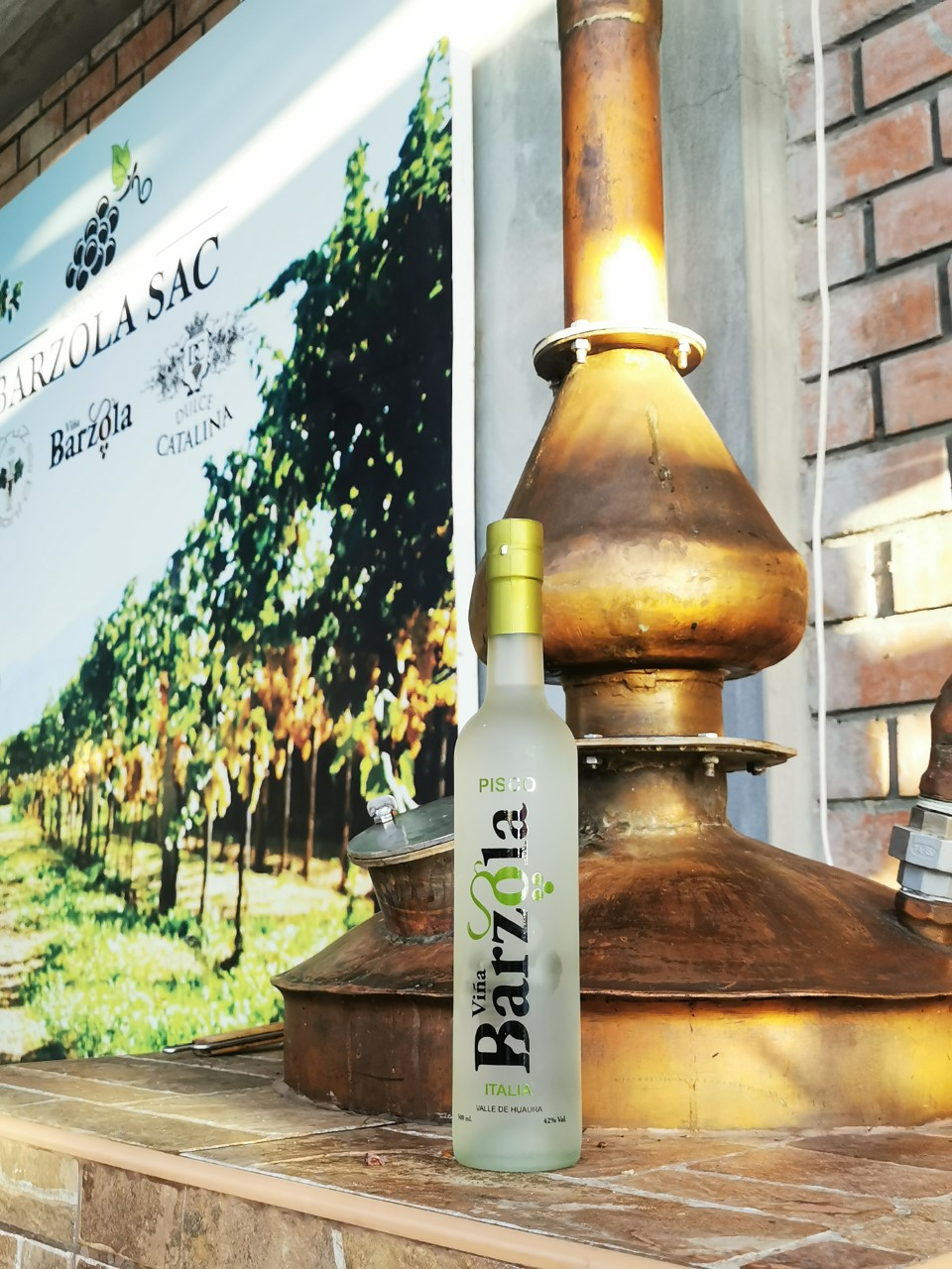 Pisco Barzola
